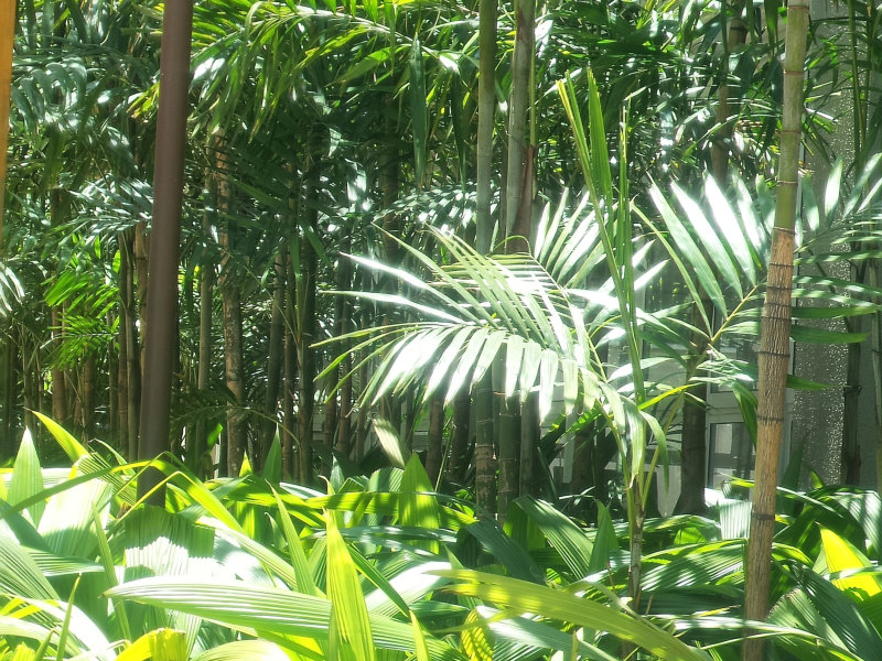 As mudanças climáticas e os sinais da natureza